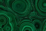 Flowery Polished Malachite Slab - DR Congo #350821-1